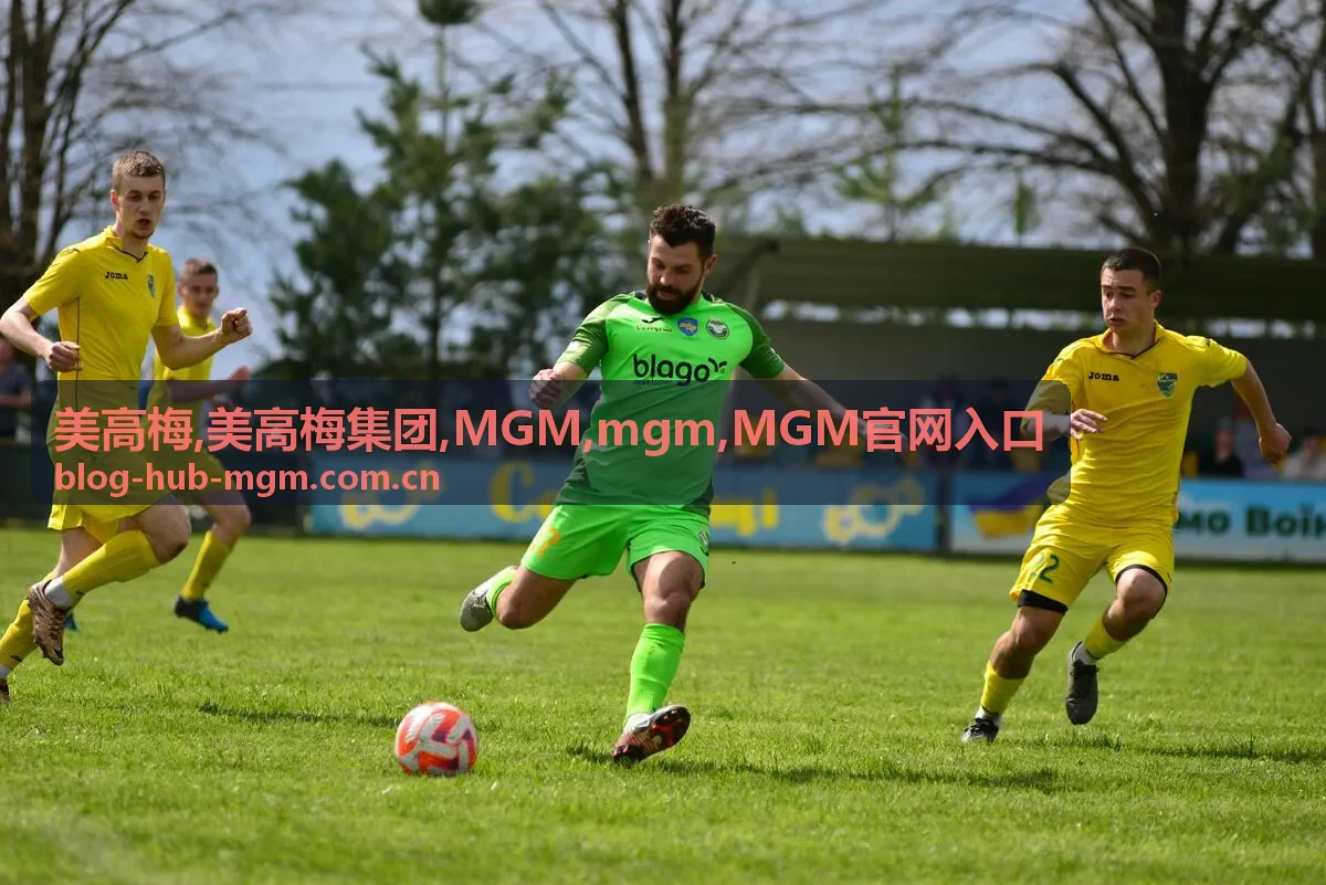 美高梅集团 MGM 品牌信息整理路径示意图
