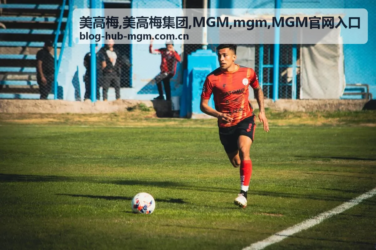 美高梅 MGM访问安全识别建议图